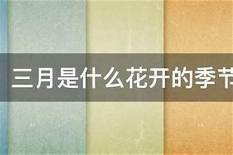 66年的三月十五什么命？