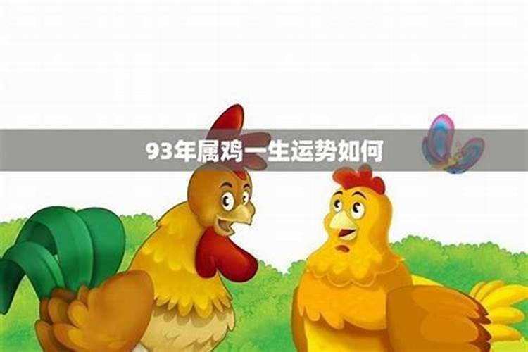 93属鸡2月17出生人的运程