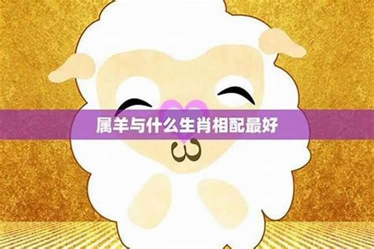 属羊的婚配哪个属相？