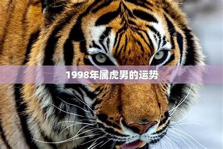 1998年虎2026年的运势如何？