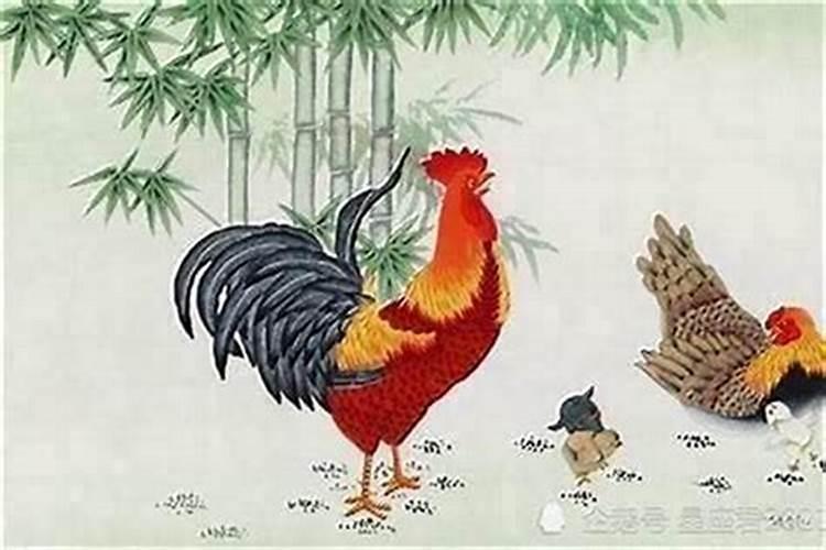 腊月出生的人属鸡