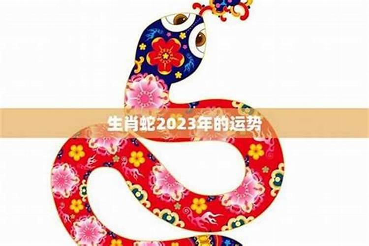 猪年属蛇的运势怎么样？