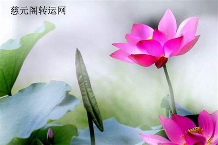 婚姻事业财运都不顺
