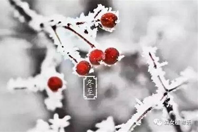 冬至交运的忌讳