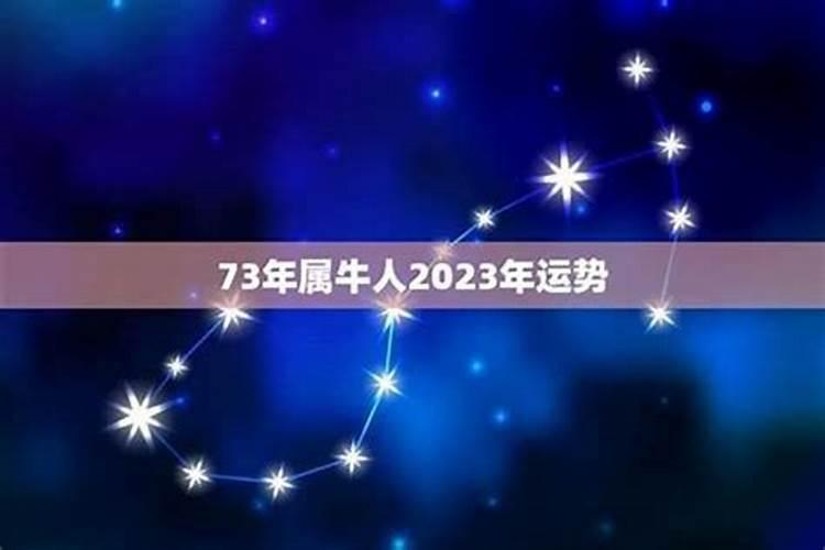 1973年腊月出生2026年运势