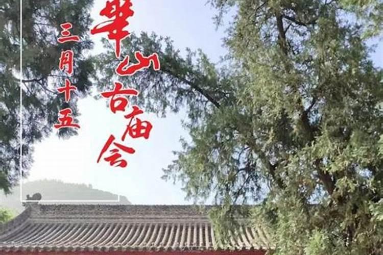 农历三月十五华山庙会
