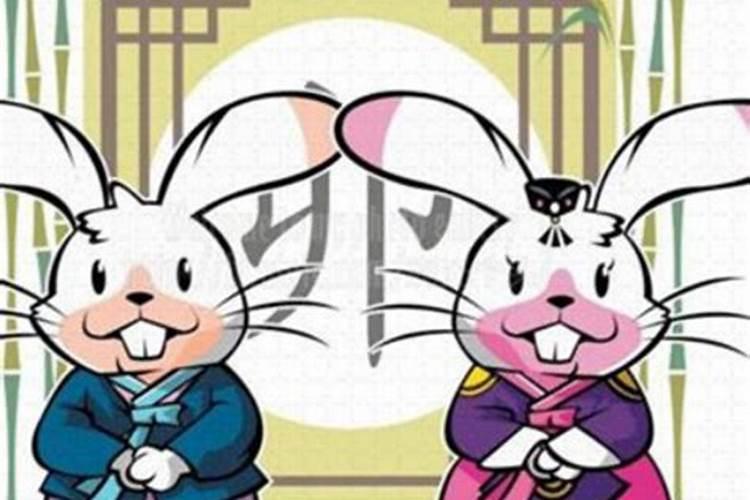 兔男和猴女婚配合婚吗？