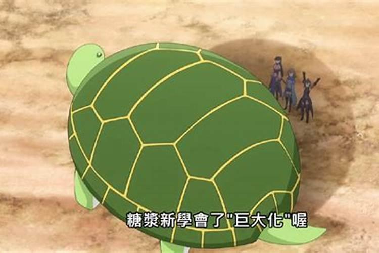 梦到骑着乌龟在天上飞