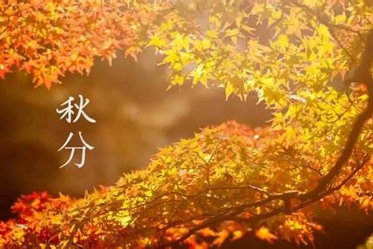 去年秋分几天几日？