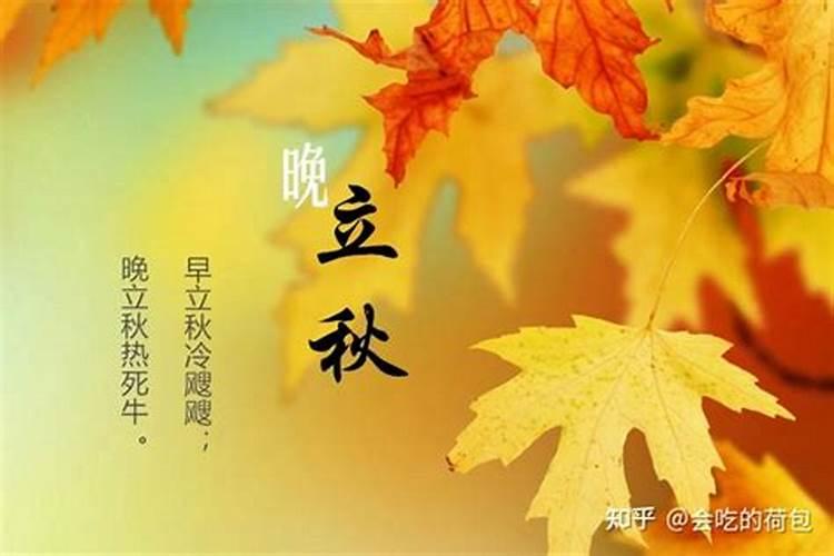 1974年哪一天是立秋？