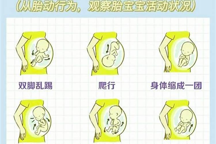 小年什么时候有胎动？