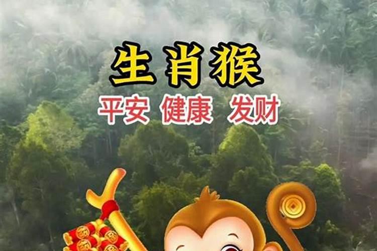 1963年属猴运程如何？