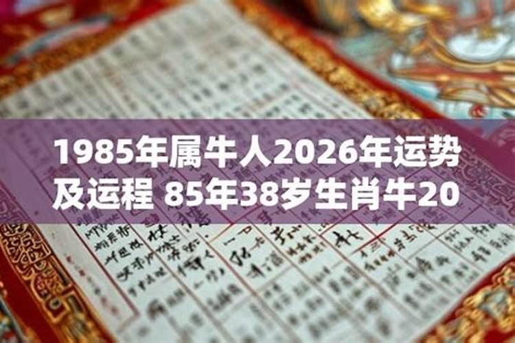 1985牛人2026运程如何？