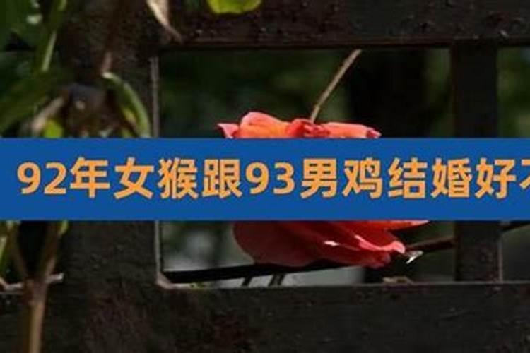 93男鸡93女鸡合婚吗？