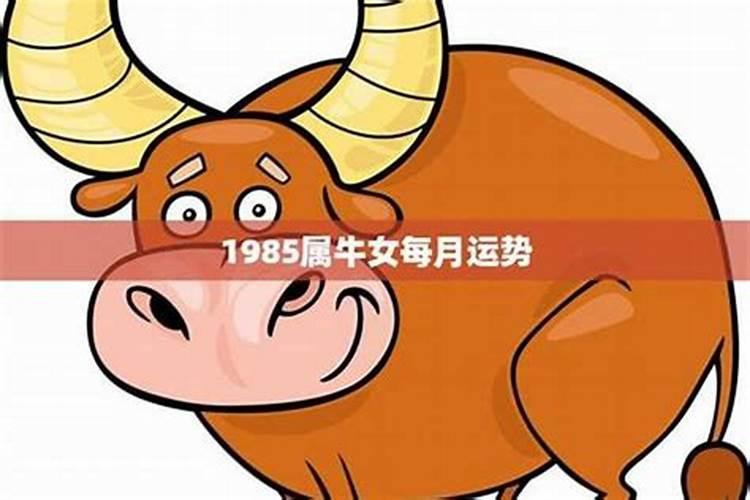 85女牛2026年运势