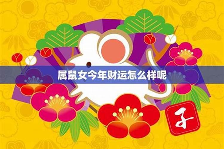 女鼠今年运势如何？