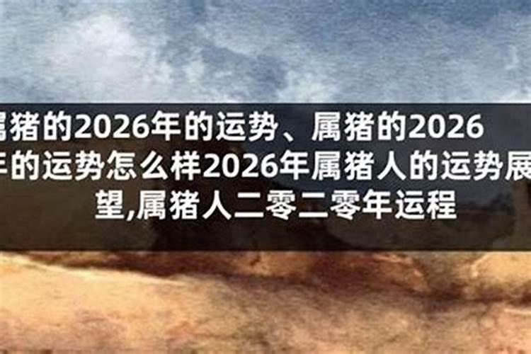 八三年属猪的2026年运势怎么样？