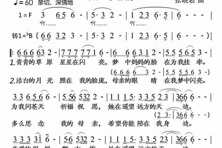 妈妈的泪水梦中的天堂简谱