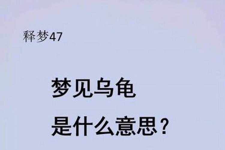梦见捡到乌龟又跑了什么意思？