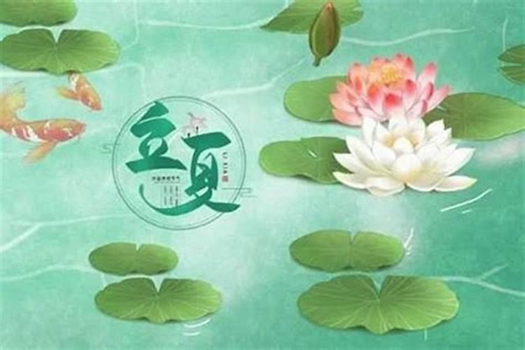你对立夏习俗有哪些了解？