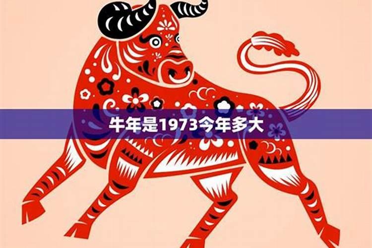 1973年二月牛今年的运程