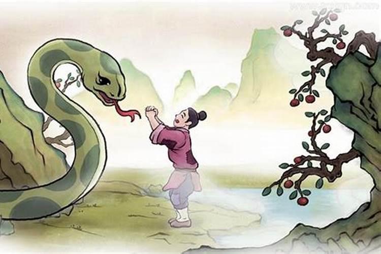 梦见蟒蛇是什么预兆周公？