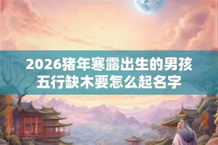 猪年夏至出生男孩名字