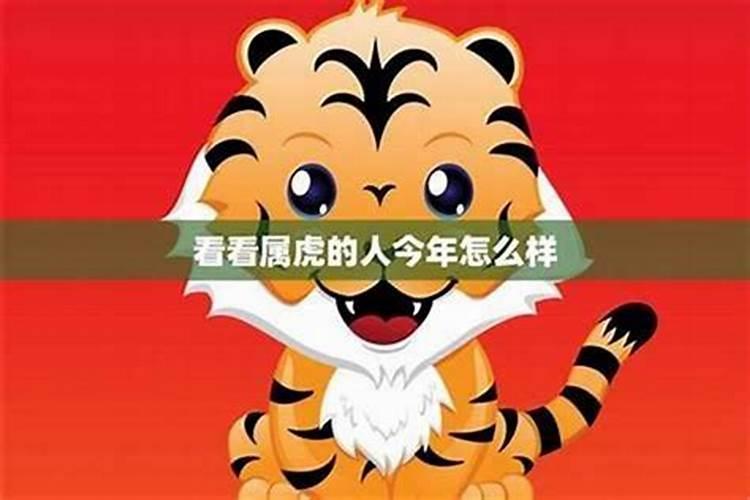 属虎的二0一九年的运势如何？