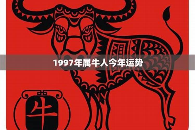 1997九月初一运势如何？