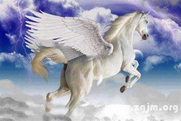 梦见马在天上飞什么意思？