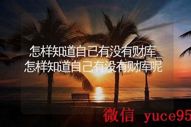 怎么才能知道自己有没有财库？