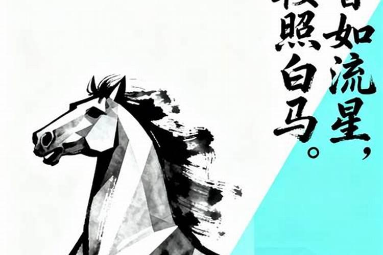 丁火男2026年运势
