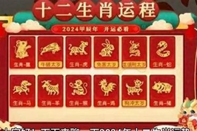 属马的在羊年运势如何？