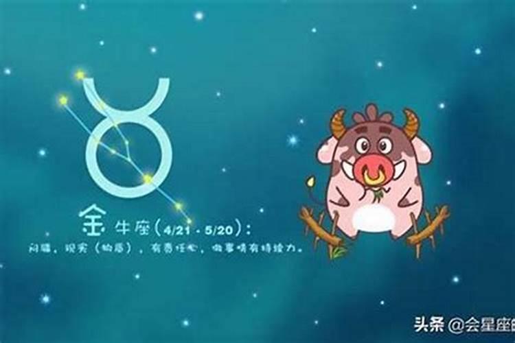 属兔的10月出生的运势