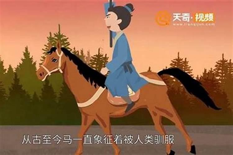 梦见马屁股是什么意思？