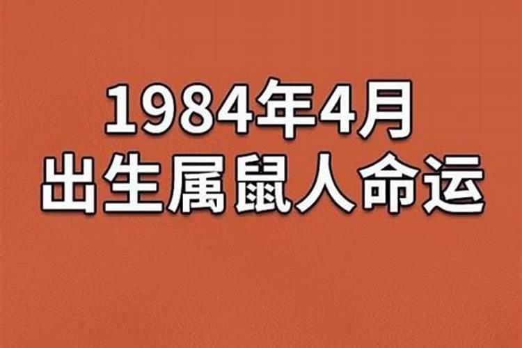 1984属鼠男一生运势如何？