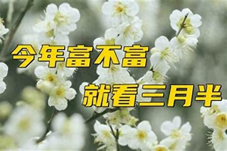 阳历三月十五有什么禁忌吗？