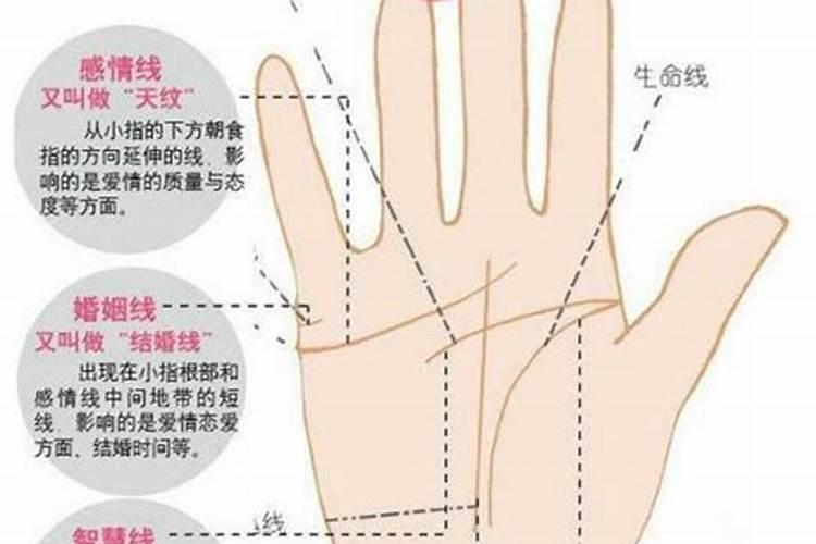 掌纹真的影响运势吗？