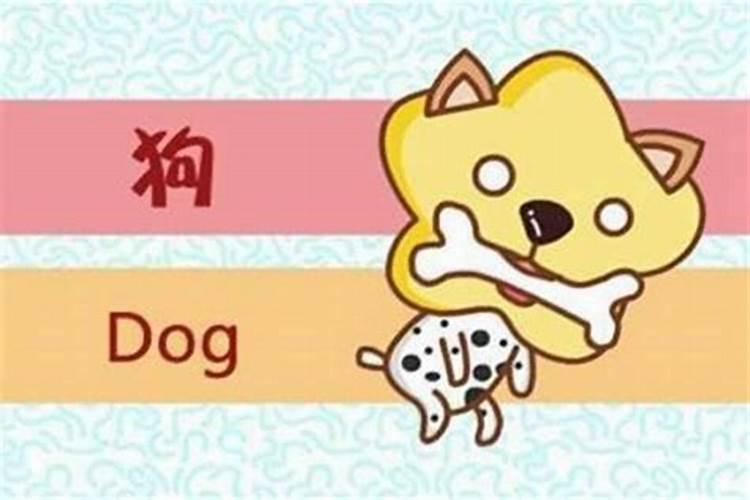跟狗不合婚配的生肖有哪些？
