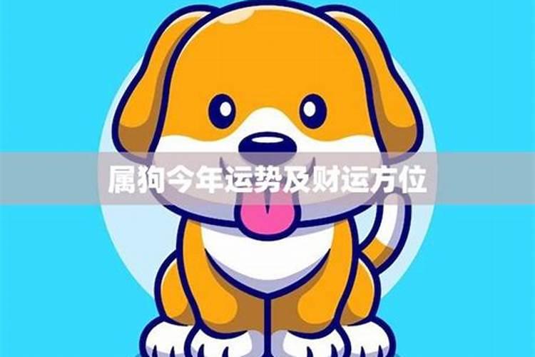 属狗的如何提升自己的财运？