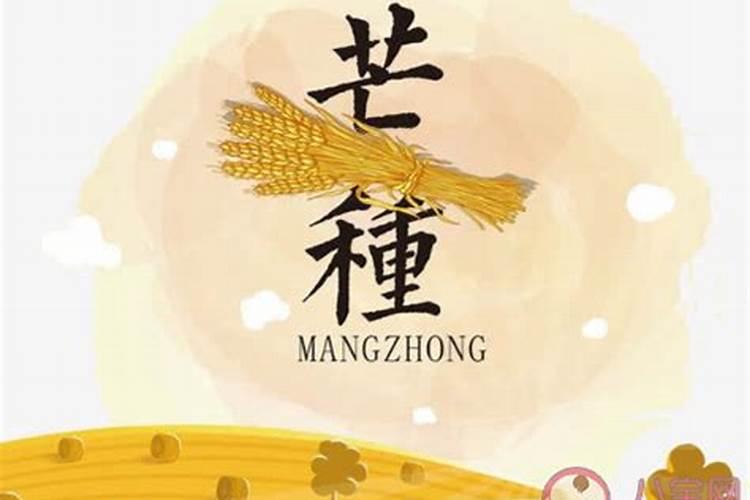 夏至节气农谚有哪些？