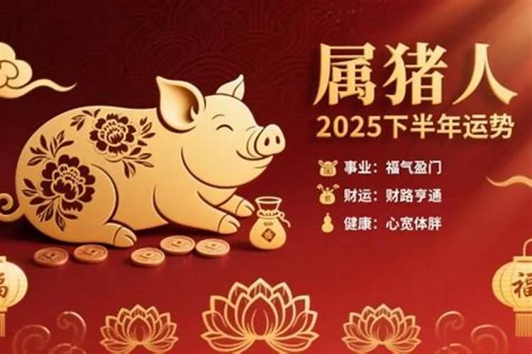 属猪的下半年运势如何？