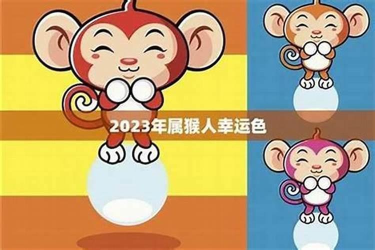 正月十六生的属猴人的运势如何？