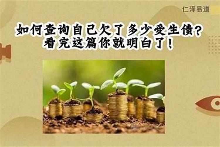 如何查自己欠多少受生债？