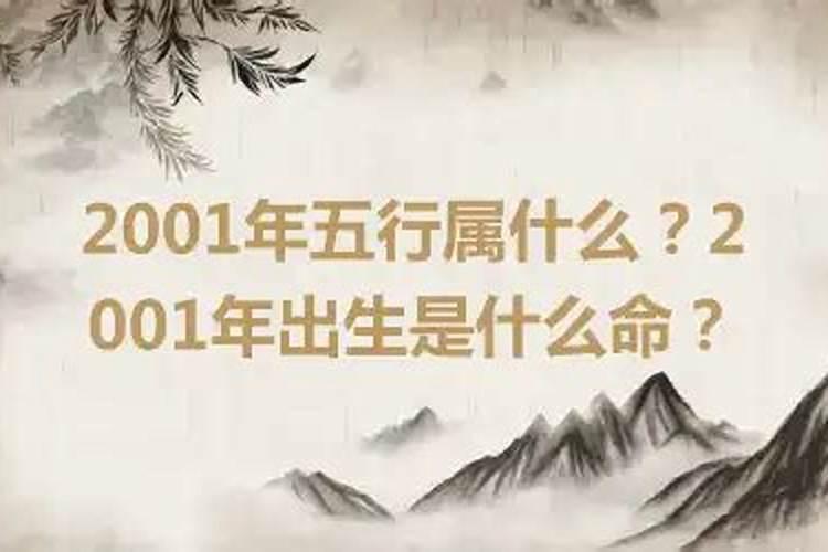 2001年出生是什么命？