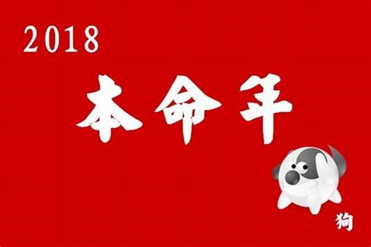本命年结婚有哪些注意事项男？