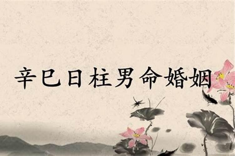 男辛巳日婚姻不顺