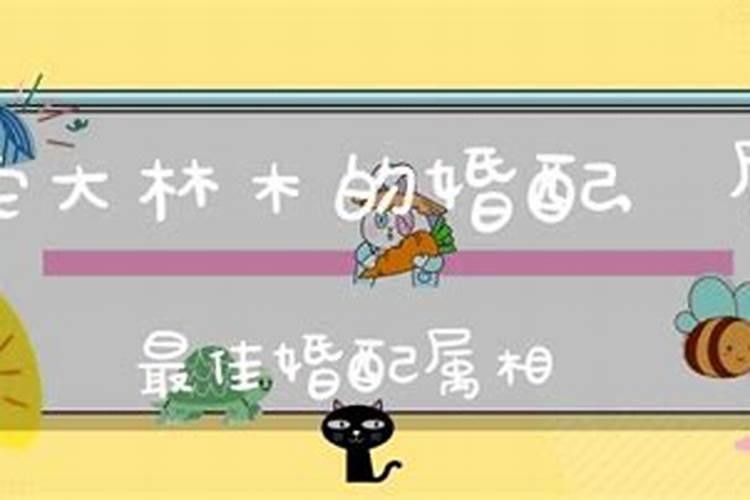 属蛇大林木属阳还是阴？