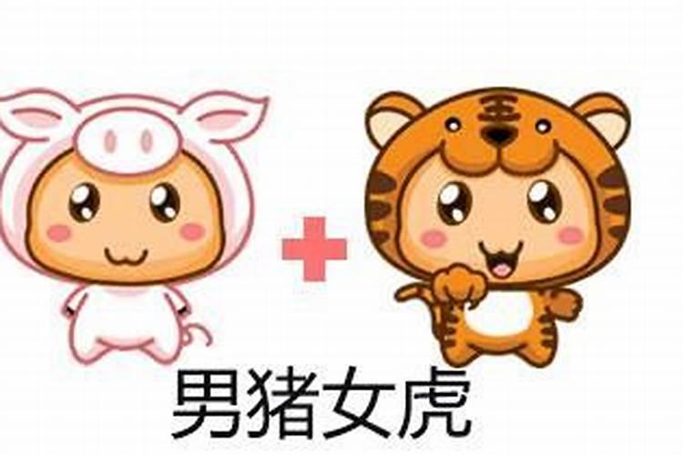 女猪男虎属相婚配好吗？