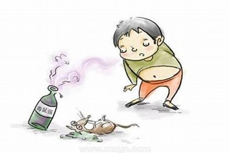 梦见死老鼠死猫是什么意思？